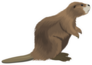Beaver Illustration Sticker