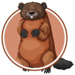 Beaver In Circle Banner Illustration Sticker