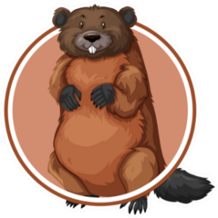 Beaver In Circle Banner Illustration Sticker