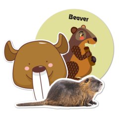 Beaver Thumbnail
