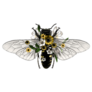 Bee With Open Wings Floral Illustration Sticker