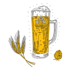 Beer Glass With Wheat And Hop German Sketch Sticker