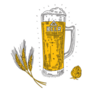 Beer Glass With Wheat And Hop German Sketch Sticker