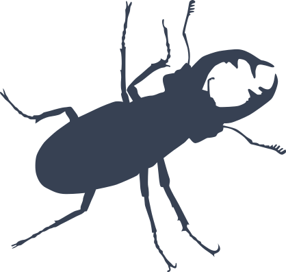 Beetle With Large Pinchers Sticker