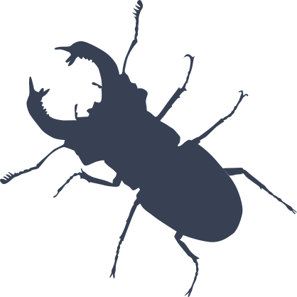 Beetle With Pinchers Sticker