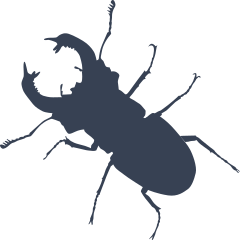 Beetle With Pinchers Sticker