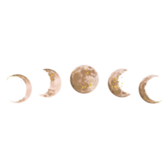 Beige And Gold Moon Phases Sticker