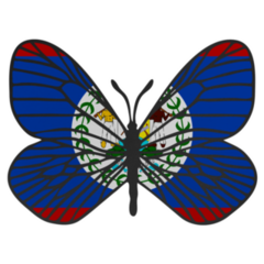 Belize Butterfly Sticker