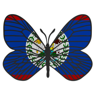 Belize Butterfly Sticker