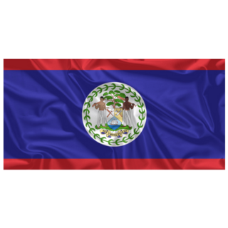 Belize Flag Wind Waving Sticker