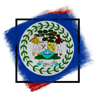 Belize Square Flag Art Sticker