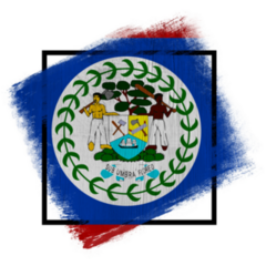 Belize Square Flag Art Sticker