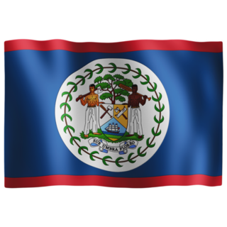 Belize Waving Flag High Sticker