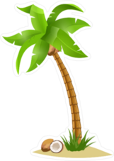 Bent Palm Tree With Coconuts On The Ground Sticker