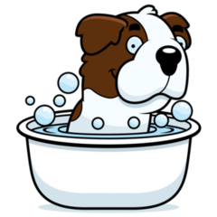 Bernard Bath Sticker