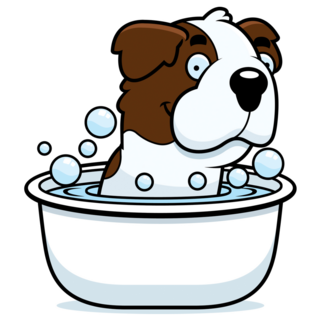 Bernard Bath Sticker