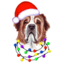 Bernard Christmas Sticker