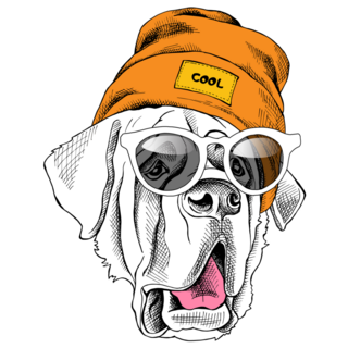 Bernard In Beanie Sticker