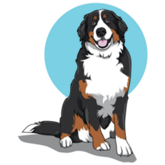 Bernese Blue Icon Sticker