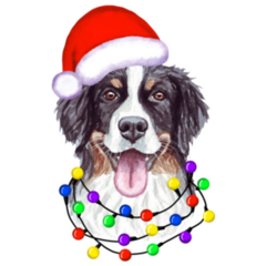 Bernese Christmas Lights Sticker 