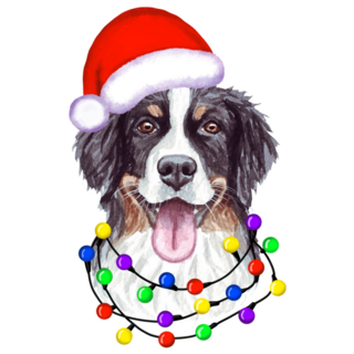 Bernese Christmas Lights Sticker 