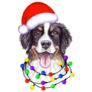 Bernese Christmas Lights Sticker 