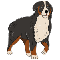 Bernese Dog Cartoon Sticker