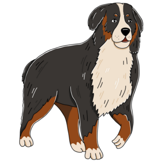 Bernese Dog Cartoon Sticker