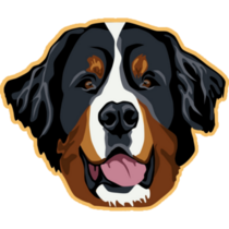 Bernese Head On Yellow Sticker