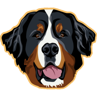 Bernese Head On Yellow Sticker