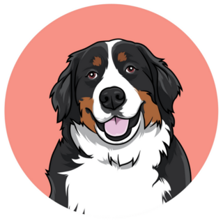 Bernese In Pink Sticker