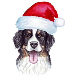 Bernese In Santa Hat Sticker