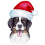Bernese In Santa Hat Sticker