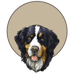 Bernese Mountain Circle Sticker
