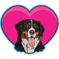 Bernese Mountain Dog Heart Sticker