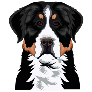 Bernese Mountain Dog Sticker