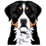 Bernese Mountain Dog Sticker