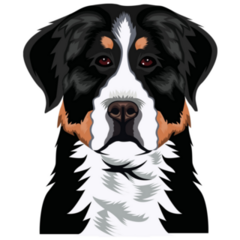 Bernese Mountain Dog Sticker