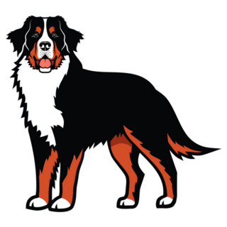 Bernese Mountain Illustration Sticker