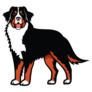 Bernese Mountain Illustration Sticker