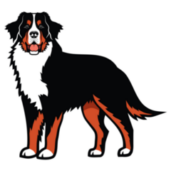 Bernese Mountain Illustration Sticker