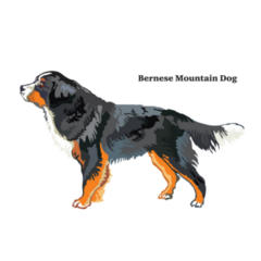 Bernese Mountain Label Sticker