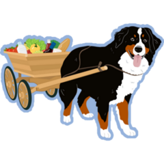 Bernese Pulls Carriage Sticker
