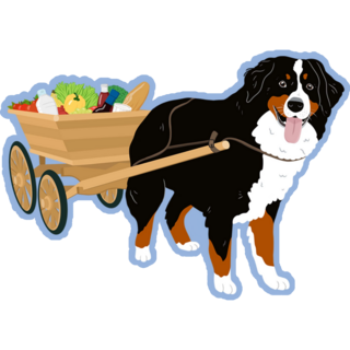 Bernese Pulls Carriage Sticker