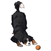 Bernese With A Ball Sticker