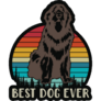 Best Dog Newfoundland Sticker
