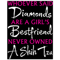 Best Friend Shih Tzu Sticker