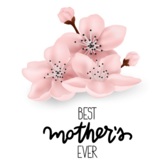 Best Mothers Ever Lettering And Plum Blossoms Sticker