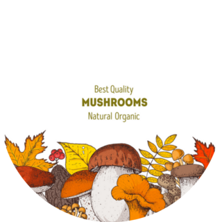 Best Quality Mushrooms Lettering Illustration Sticker