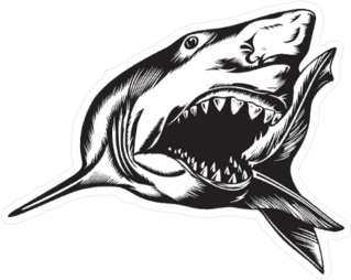 Big Aggressive Shark With Open Mouth Sticker